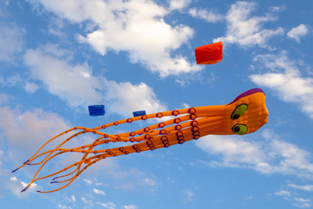 Kite Festival. Kites in the sky. A spectacle in the sky. Wind is like a force. air objects. Various forms. A beautiful sight. Air.  octopus.の写真素材