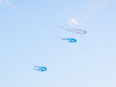 Kite Festival. Kites in the sky. A spectacle . Wind is like a force. air objects. Various forms. A beautiful sight.  Aerodynamics. Object in the sky. Holiday on the beachの写真素材