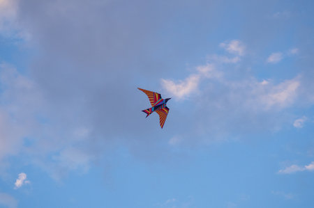 Kite Festival. Kites in the sky. A spectacle . Wind is like a force. air objects. Various forms. A beautiful sight.  Aerodynamics. Object in the sky. Holiday on the beach. In the shape of a birdの写真素材