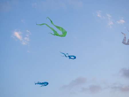 Kite Festival. Kites in the sky. A spectacle . Wind is like a force. air objects. Various forms. A beautiful sight.  Aerodynamics. Object in the sky. Holiday on the beach.の写真素材