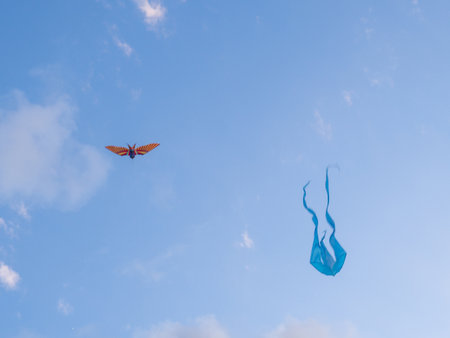 Kite Festival. Kites in the sky. A spectacle . Wind is like a force. air objects. Various forms. A beautiful sight.  Aerodynamics. Object in the sky. Holiday on the beachの写真素材
