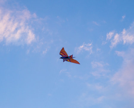Kite Festival. Kites in the sky. A spectacle . Wind is like a force. air objects. Various forms. A beautiful sight.  Aerodynamics. Object in the sky. Holiday on the beach. Birdの写真素材