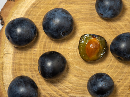 The fruit of Blackthorn. Type of plum genus. early fruit. Tart sour taste. compote ingredient.の写真素材