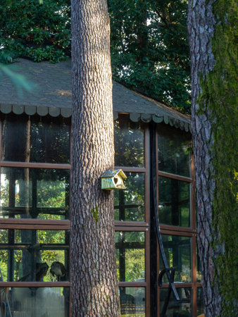 Unusual birdhouse on a thick tree. Homemade birdhouse. Bird careの写真素材
