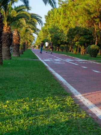 Bike lane concept. Healthy lifestyle. Urban space in a modern resort. Smart urbanism. Bicycle path close-up. road for sports. Guys on scootersの写真素材