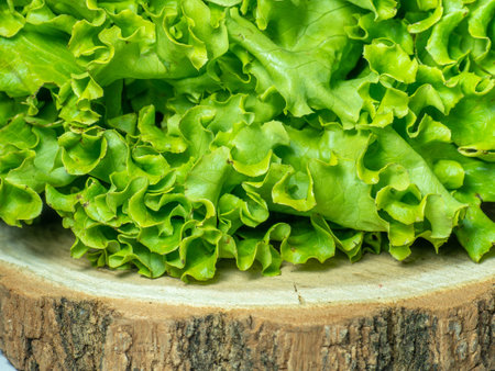 Bunch of lettuce on a wooden tray. Salad concept. Vitamin of natural origin. Leaves up close. Grass background for food. Useful ingredient. Tree cuttingの写真素材