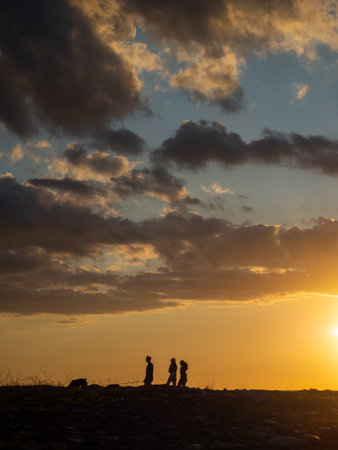 Silhouettes of people walking with a dog. Silhouette of a young lonely man. Silhouette of a person looking out to sea at sunset. Walkの写真素材