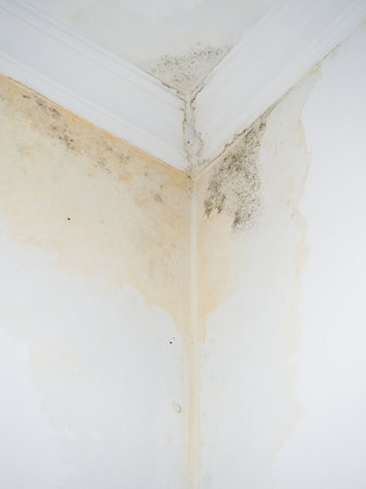 Leak on white ceiling. The sewer pipes are faulty. Concept of leaking pipes in a house. The neighbors have a faulty toilet. Public housing problem. Corner of the room in moldの写真素材