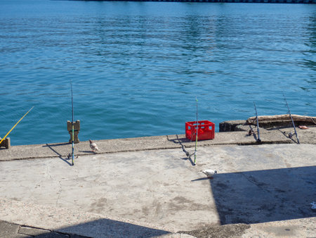 Fishing rods on the seashore. Fishing. Waiting for a bite. Bottom fishing. Rods without a fishermanの写真素材