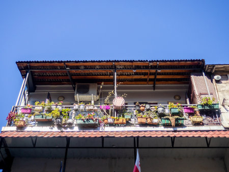 Lots of flower pots on the balcony. Plant lover. Balcony decoration. Balcony in the old town.の写真素材