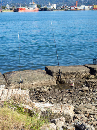 Fishing rods on the seashore. Fishing. Waiting for a bite. Bottom fishing. Rods without a fishermanの写真素材