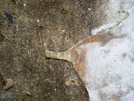 cement. Background from an old wall  . Mold  on the wall. Part of an old house. Cement backgroundの写真素材