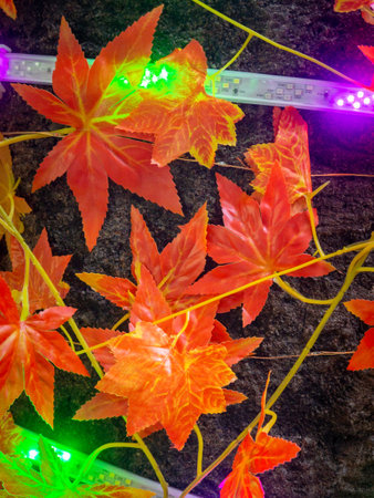Autumn holidays background. Bright leaves and illumination. Halloween decorations on the street near the restaurant. Holiday decoration concept. Illuminations. Decoration of the restaurant veranda.の写真素材