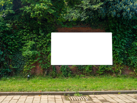 Mockup near an overgrown wall. Place for advertising. Abandoned place. Thickets of ivy.の写真素材
