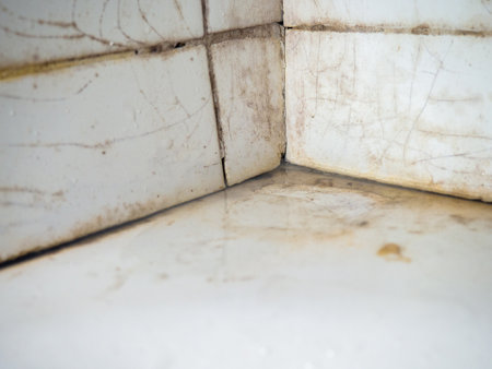 Dirty tiles in the bathroom. Black dots on bathroom enamel. Mold in the bathroom. Need a cleaning product. Bacteria. Cleaning product conceptの写真素材