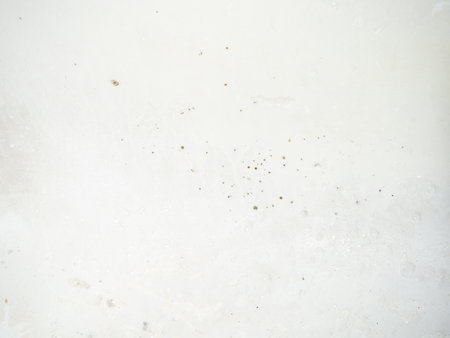 Black dots on bathroom enamel. Mold in the bathroom. Need a cleaning product. Bacteria. Cleaning product conceptの写真素材