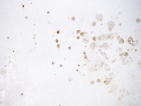 Mold on the enamel in the bathroom. Mold spores in the bathroom. Black dots on a white background. The problem of everyday life. The need for a cleaning product. Health hazard.の写真素材