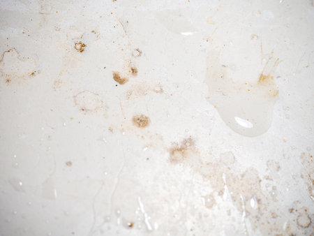 Mold on bathroom enamel. Mold spores in the bathroom. Black dots on a white background. A problem for everyday life. The need for a cleaning agent. Health hazard.の写真素材