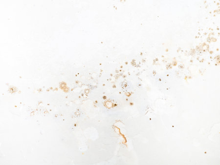 Mold on the surface of the bathroom. Dark mold close-up on bathroom enamel. Dirty white surface. The concept of the appearance of bacteria.の写真素材