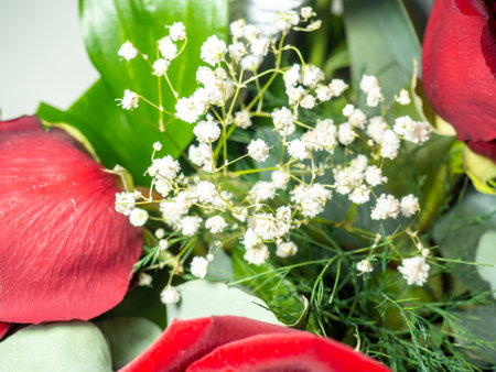 Red roses close-up. Congratulations concept. Birthday gift. Basket of flowers. Petalsの写真素材