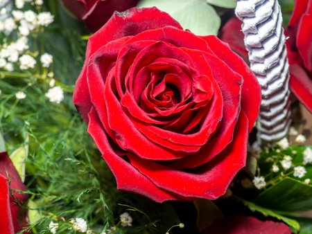 Red roses close-up. Congratulations concept. Birthday gift. Basket of flowers. Petalsの写真素材