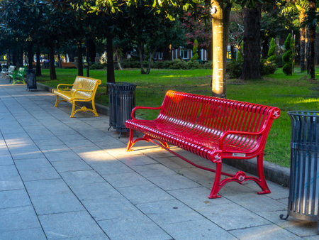 Colored benches in the park. Park infrastructure. Greenery in December. Batumiの写真素材