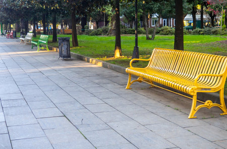 Colored benches in the park. Park infrastructure. Greenery in December. Batumiの写真素材