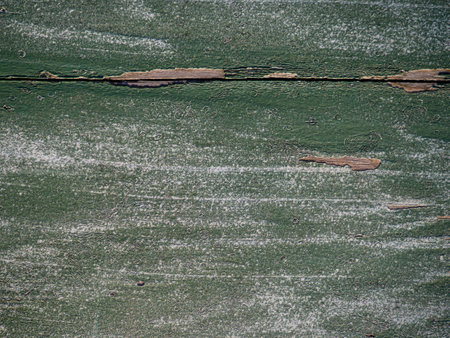 Green paint on wood. Uneven painted wooden surface. Peeling paint. Green vintage backgroundの写真素材
