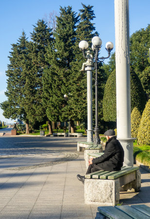 A person sits alone on a park bench. Relaxation in the park.の写真素材