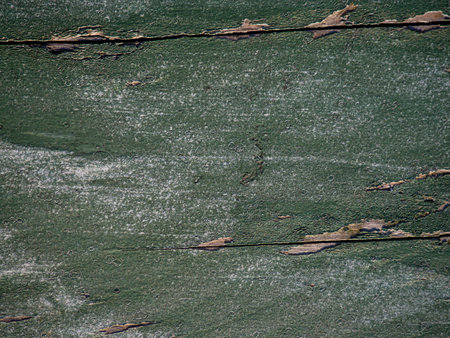 Green paint on wood. Uneven painted wooden surface. Peeling paint. Green vintage backgroundの写真素材
