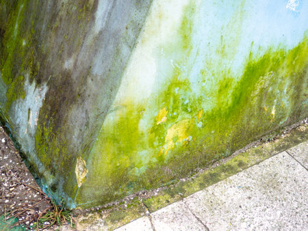 Green stains on the wall from water. The wall is blooming. Cement after water. Impact of the aquatic environment. Mossの写真素材
