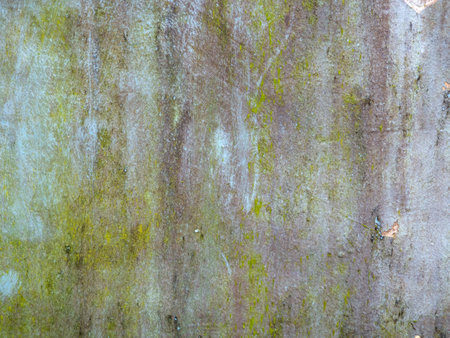 Green stains on the wall from water. The wall is blooming. Cement after water. Impact of the aquatic environment. Mossの写真素材