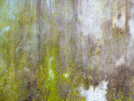 Green stains on the wall from water. The wall is blooming. Cement after water. Impact of the aquatic environment. Mossの写真素材