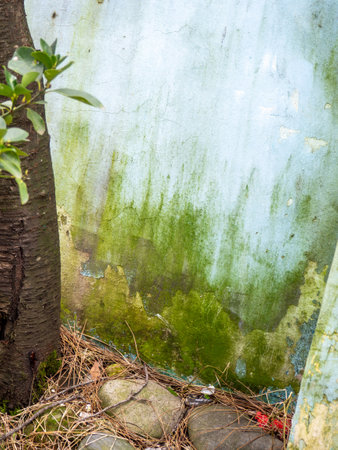Green stains on the wall from water. The wall is blooming. Cement after water. Impact of the aquatic environment. Mossの写真素材