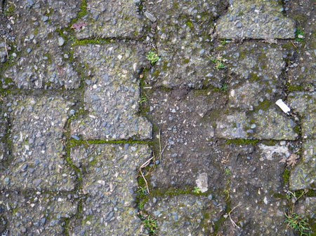 Background from old tiles. Pavement made of concrete slabs. Moss between the stones. Patternの写真素材