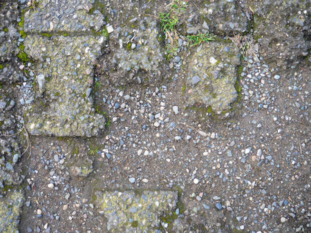 Background from old tiles. Pavement made of concrete slabs. Moss between the stones. Patternの写真素材