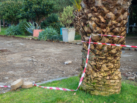 Reconstruction of the bike path. Replacing tiles on a bike path among palm trees. Infrastructure of the resort town. Repair. Barrier tape.の写真素材