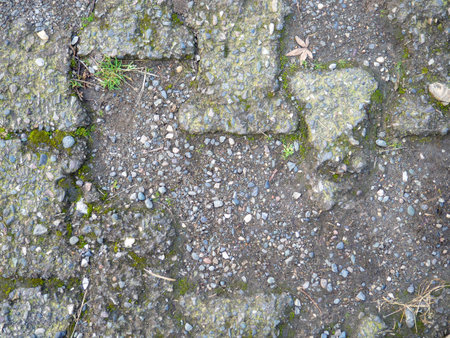 Background from old tiles. Pavement made of concrete slabs. Moss between the stones. Patternの写真素材