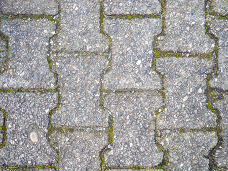 Background from old tiles. Pavement made of concrete slabs. Moss between the stones. Patternの写真素材