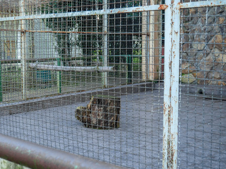 Outdoor fence at the zoo. Empty cages in the zoo. Winter at the zoo. The animals hid. Empty animal enclosure. Latticeの写真素材