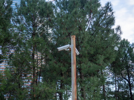 Surveillance cameras in the park. Kaamera against the background of trees. Surveillance conceptの写真素材