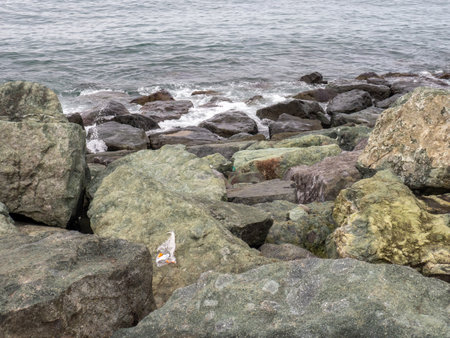 Gray dull landscape with rocks. Black Sea coast in winter. Hopa city, TÃ¼rkiye. Coastal stonesの写真素材