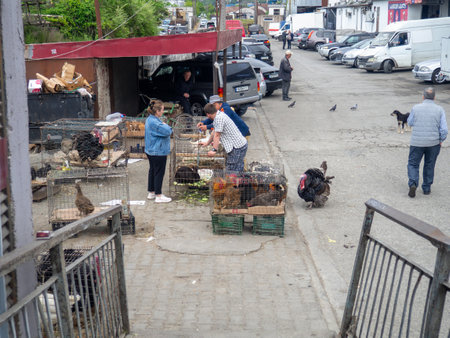 Batumi, Georgia. 05.01.2024  Market for the sale of farm animals. Birds for sale for breeding and food. Farmers market. Turkey and chickensのeditorial素材