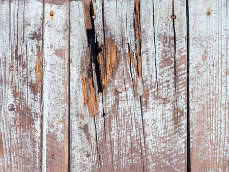 Uneven white wood surface. Torn wood. damaged flooring is white.の写真素材