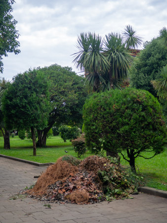 A pile of dry leaves in the park. Work of landscapers. Janitor. Cleaning in the city parkの写真素材
