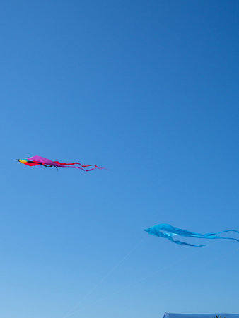 Kite Festival.   Entertainment and hobbies. Windy weather. Resort coastの写真素材