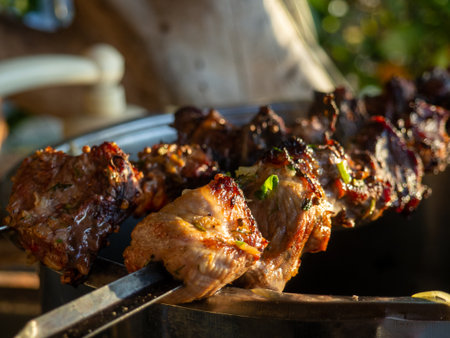 Shashlik on a skewer close-up. Fried meat with smoke. Home cooking. Cuisine of the peoples of the world. Food for a picnicの写真素材