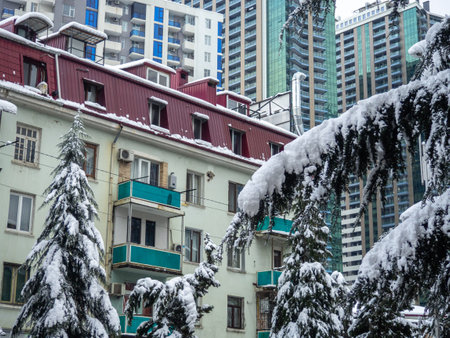 Snow-covered streets of the city on the Black Sea coast. Snowdrifts on the streets of Batumi. Difficult situation. Unexpected frost in the south. Architectureの写真素材