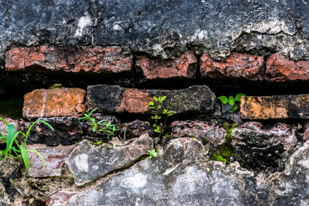 Brick that is clay in olden days.