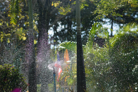 Water distribution, as well as beautiful bokeh.の写真素材